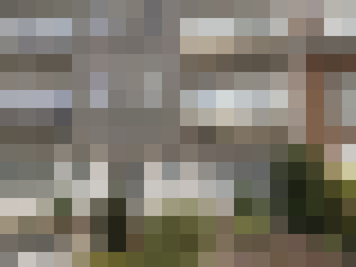Image 14
