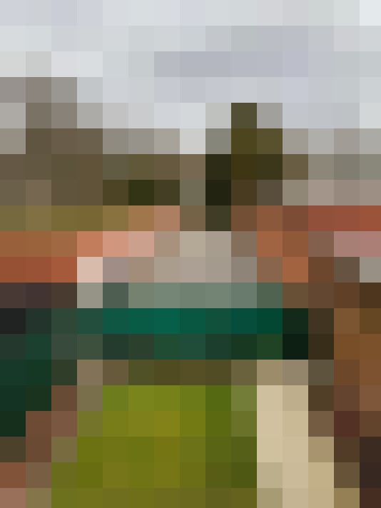 Image 13