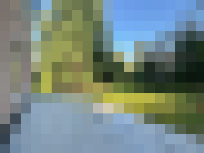 Image 17