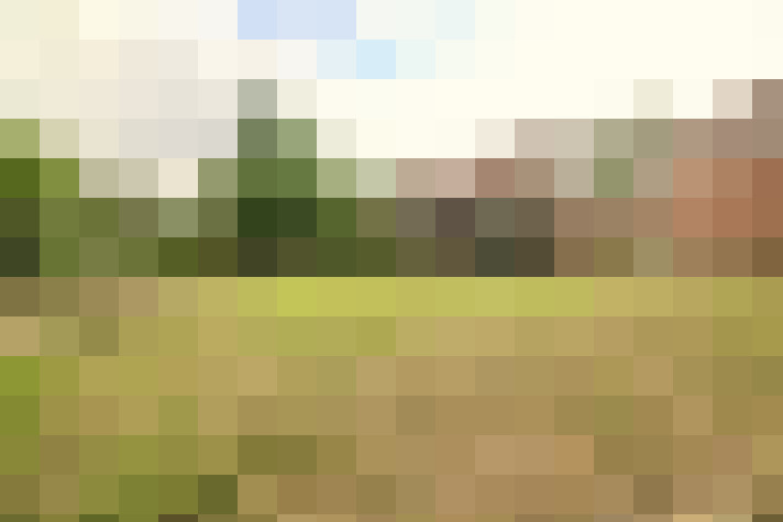 Image 18