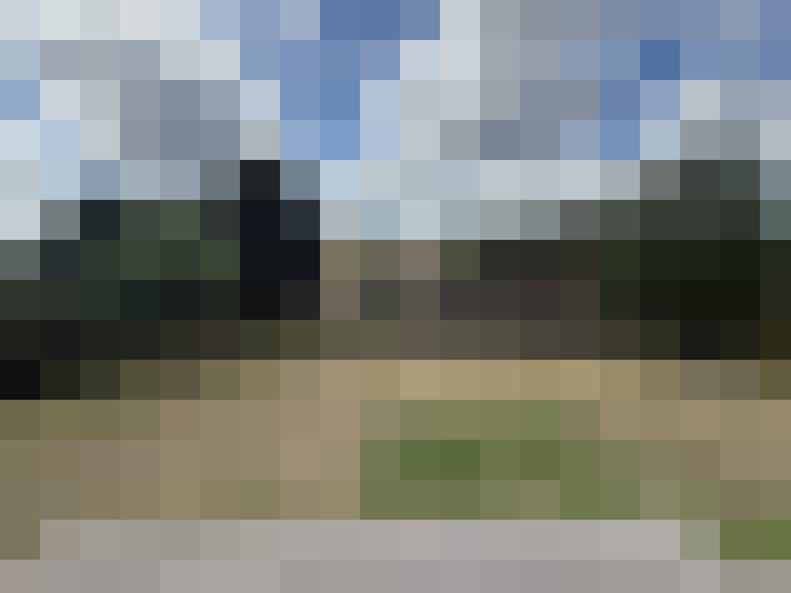 Image 29