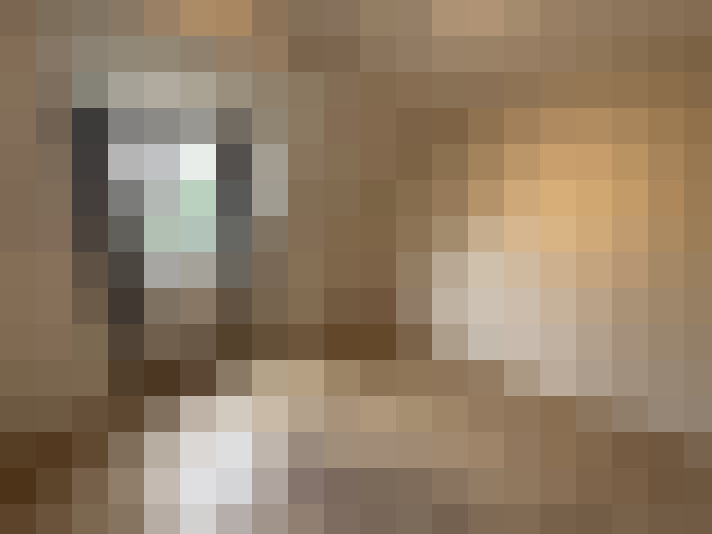 Image 25