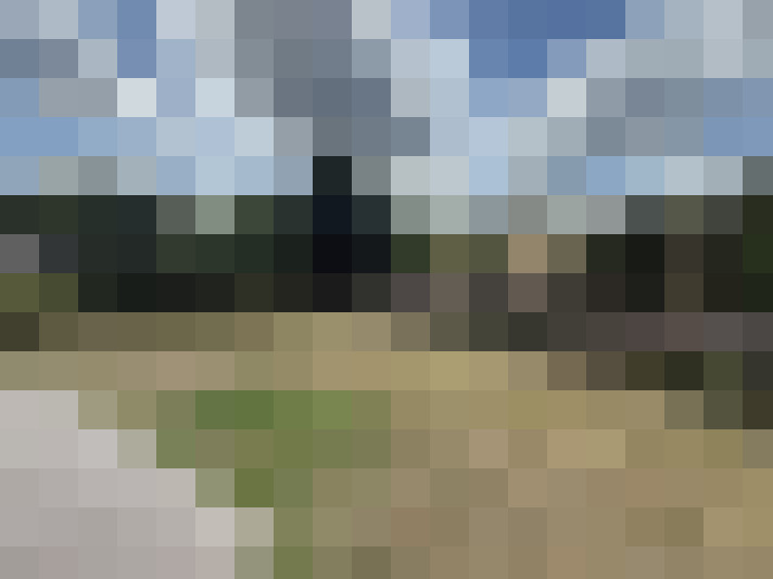 Image 33