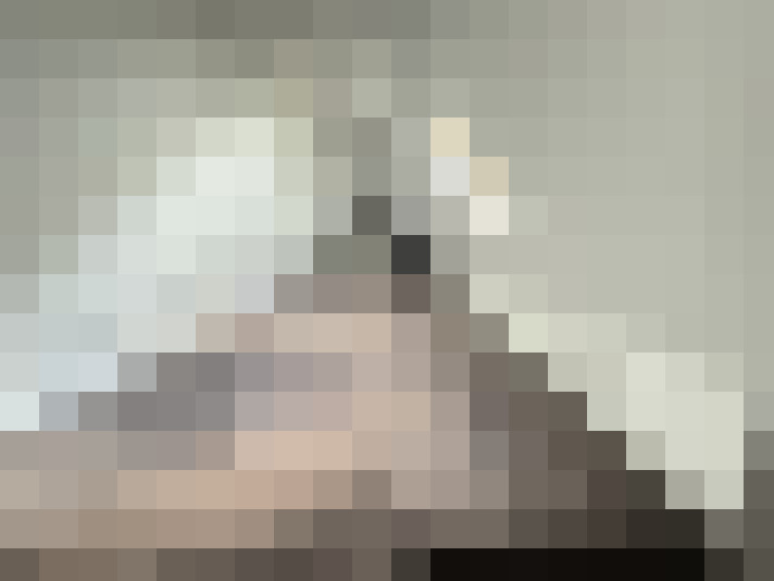 Image 36