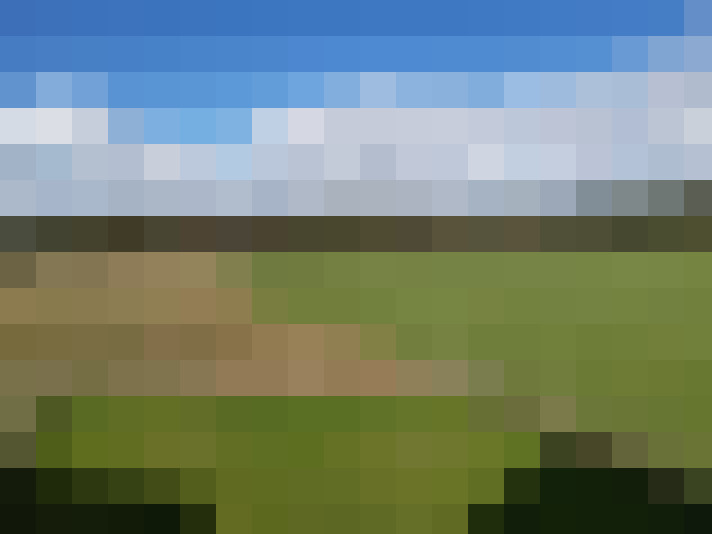 Image 27