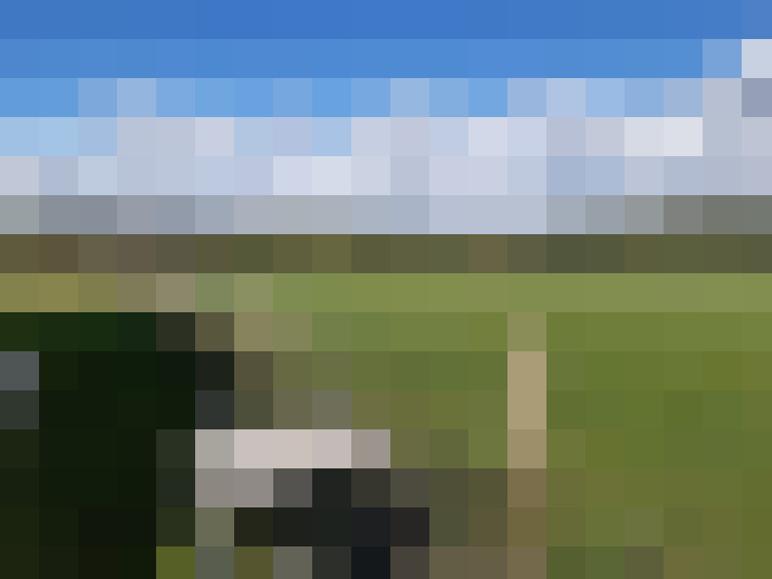 Image 29