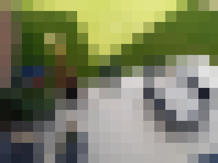 Image 28