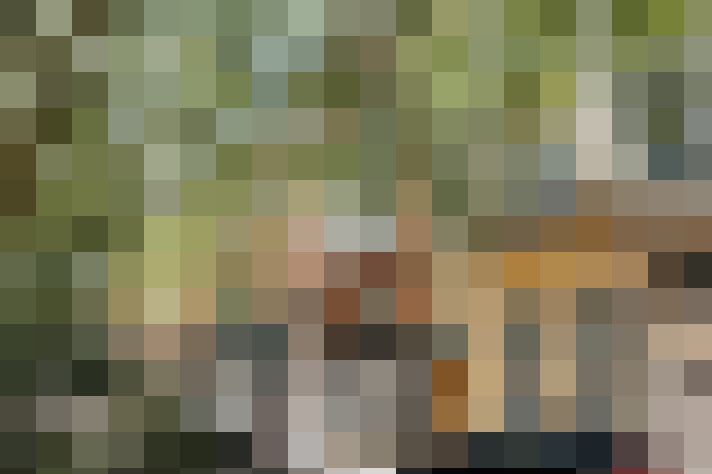 Image 33