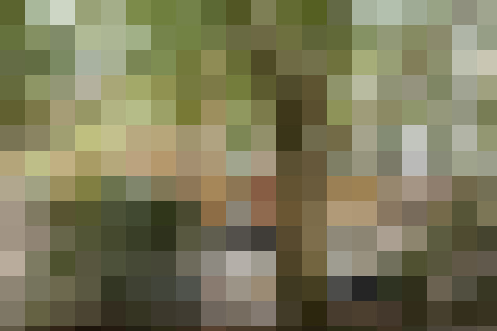 Image 30