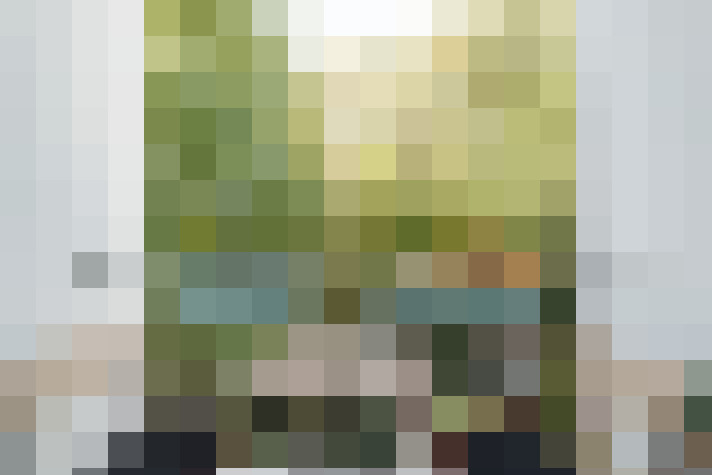 Image 29
