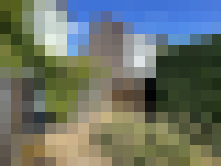 Image 20