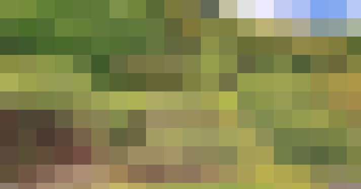 Image 22