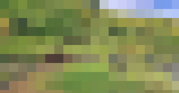 Image 20