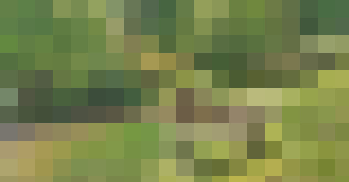 Image 40