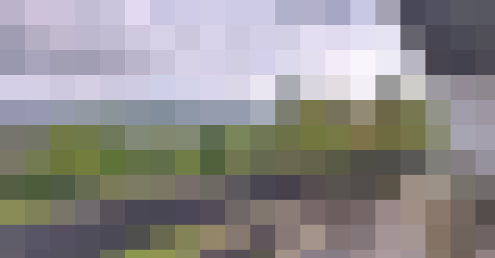 Image 33