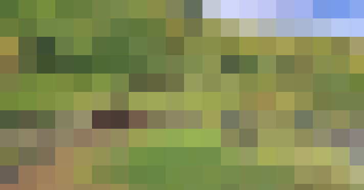 Image 38