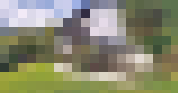 Image 31