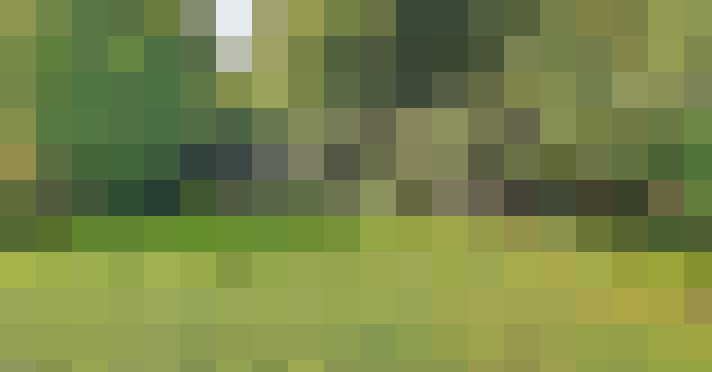 Image 23