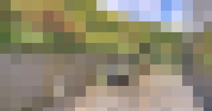 Image 30