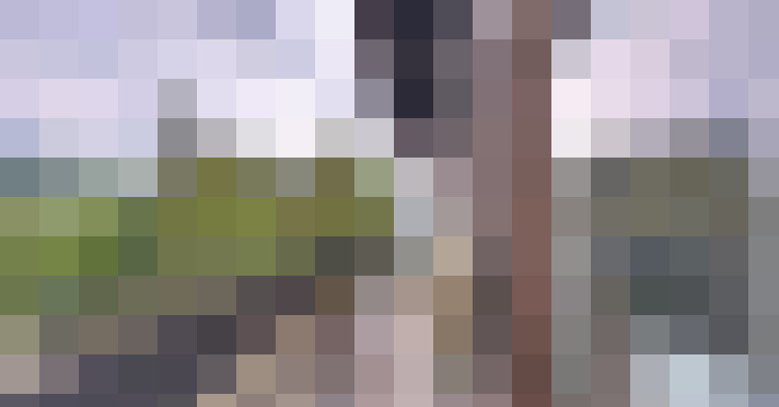 Image 34