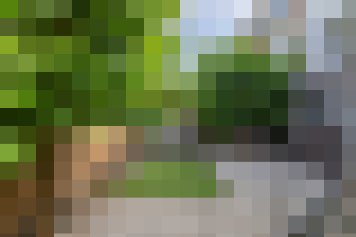 Image 28