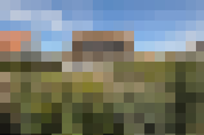 Image 41
