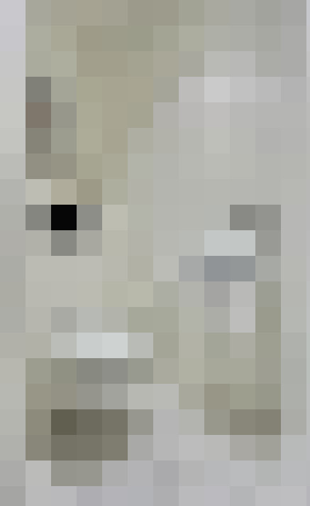 Image 14