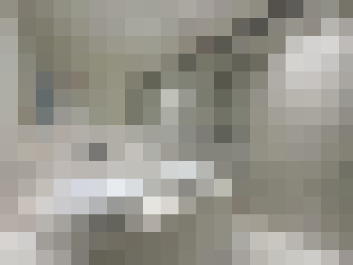 Image 16