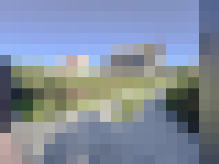 Image 37
