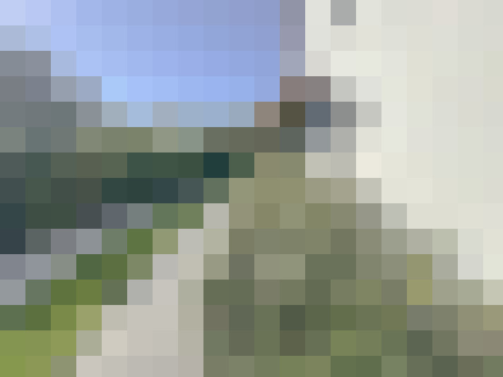 Image 41