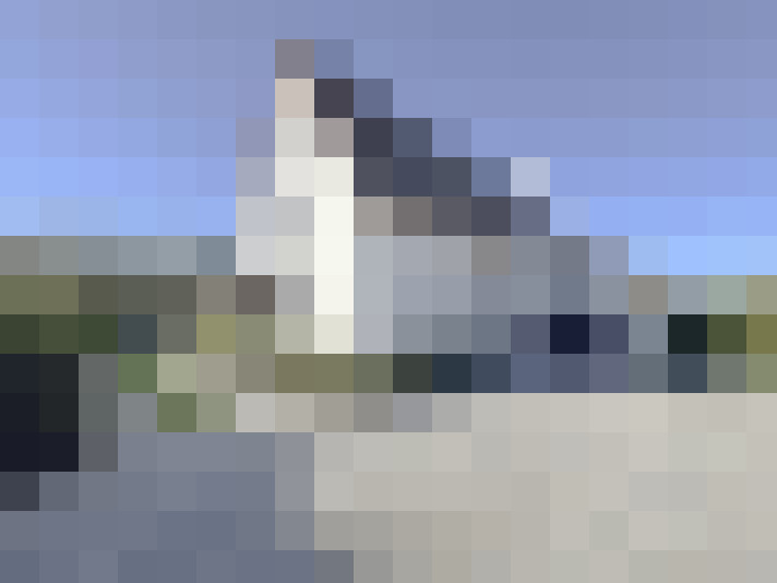 Image 40