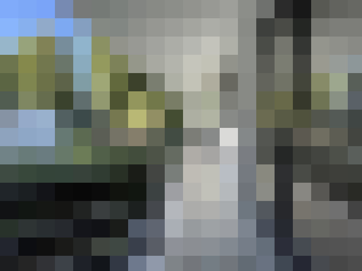 Image 15