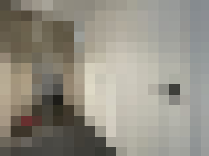 Image 22