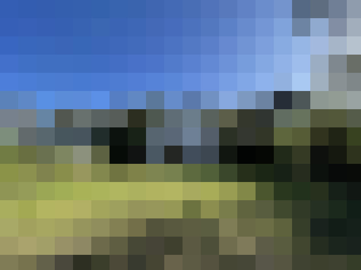 Image 21