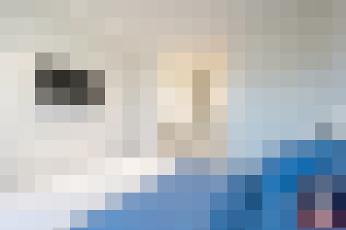 Image 20