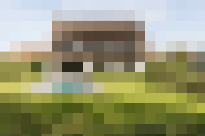 Image 85