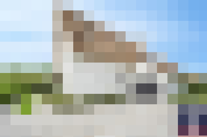 Image 66