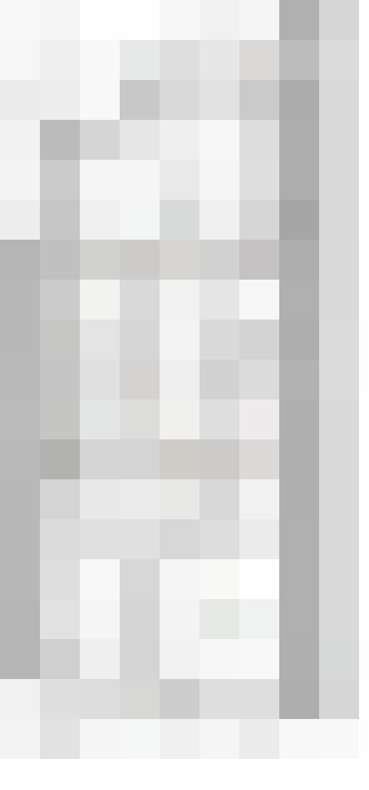 Image 29