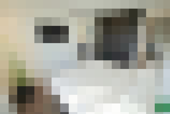 Image 37