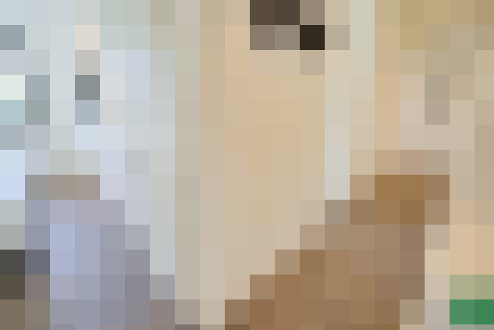 Image 27