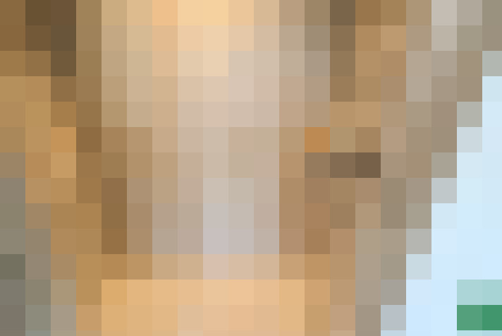 Image 29