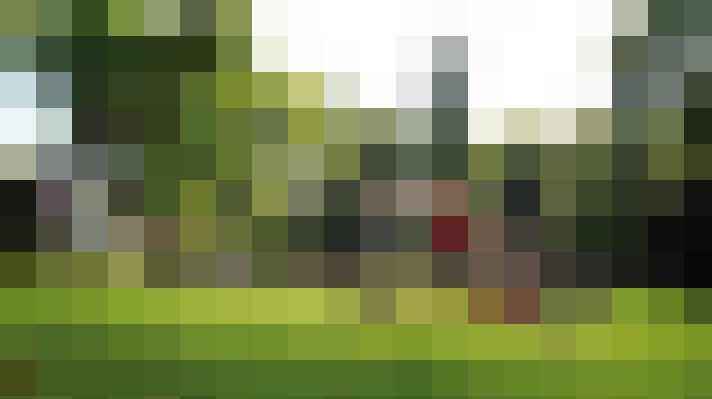 Image 20