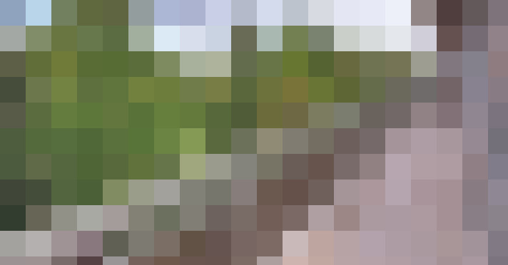 Image 14