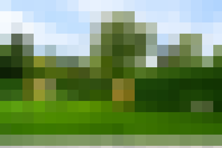 Image 25