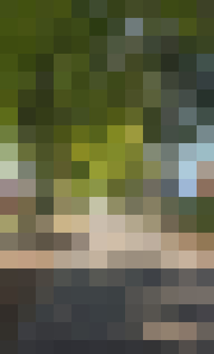 Image 26