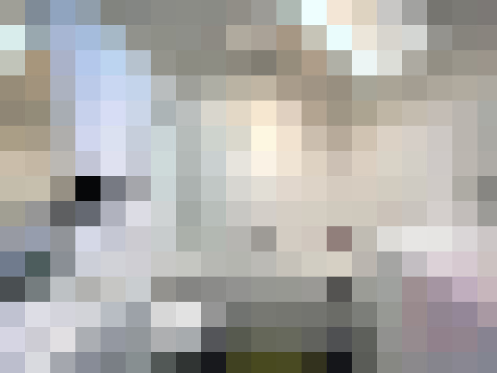 Image 13