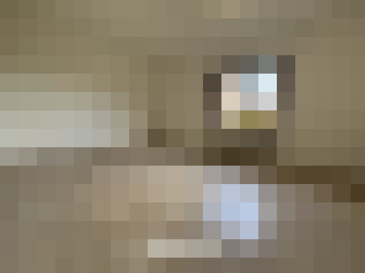 Image 46