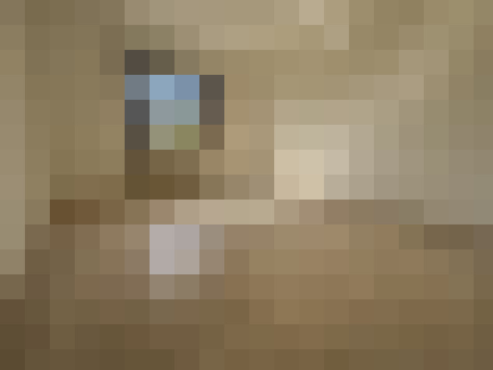 Image 55