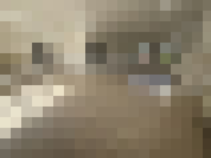 Image 17