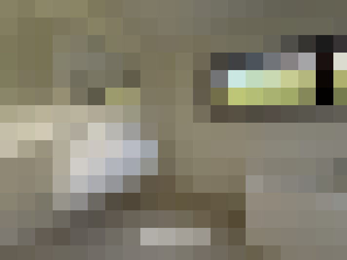 Image 67